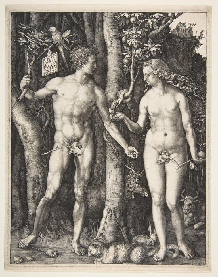 Adam and Eve, by Albrecht Dürer, 1504