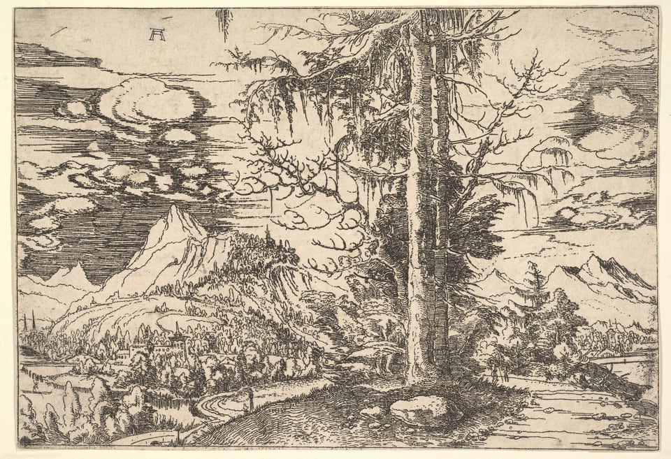 Landscape with a Double Spruce, by Albrecht Altdorfer, ca. 1521–22