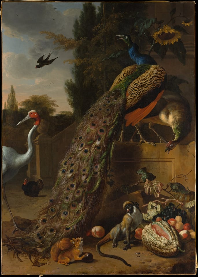 Peacocks, by Melchior d' Hondecoeter, 1683