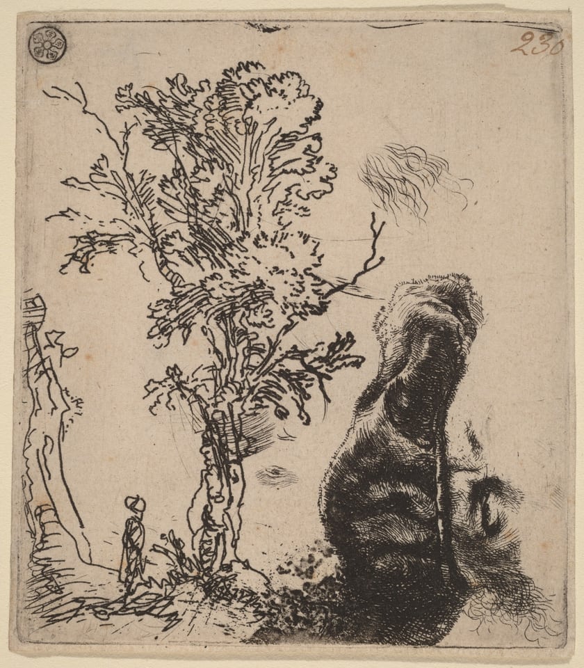 The image displays intricate, swirling lines and textured shading to create an abstract scene. On the left side are fine lines resembling branches and leaves, with a small figure nearby. On the right side is a large, densely shaded form reminiscent of mountains or a rock formation. The elements come together to suggest landscapes and nature through imaginative shapes and line work.