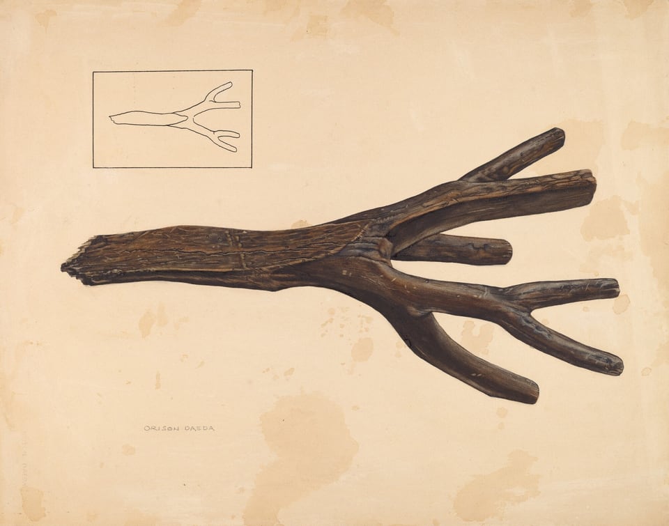 A brown tree branch with several thick, bifurcated limbs is central in the image. The background is a muted beige with aged discoloration marks. The branch is oriented horizontally, with its thicker end on the left and split limbs extending to the right. In the top left corner, there is a rectangular inset with a simplified line drawing of the branch's shape.