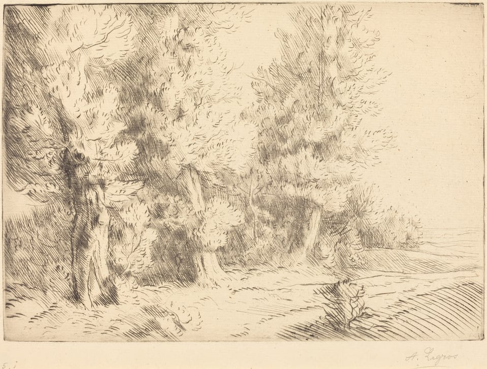 The image shows a sketch-like scene viewed from a slightly elevated perspective, depicting a landscape dominated by a line of trees. The horizon is low in the image, just above a rising slope, with tall trees extending towards the sky. The trees and foliage are characterized by brushstrokes and crosshatching technique, conveying texture and shading. The color palette is monochromatic, with dark and light tones for a serene, natural quality. Line and shadow add movement and highlight the beauty of the trees as they recede into the distance, merging with the sky.