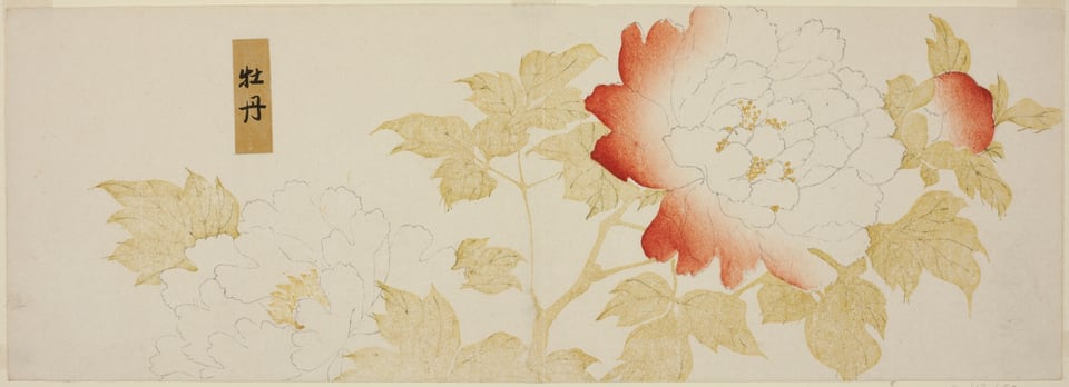 A work made of color woodblock print; surimono.