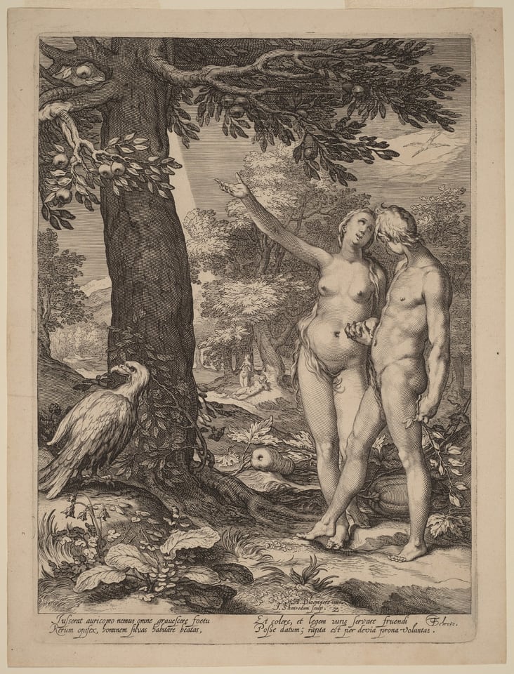 This is a drawing of two nude figures standing beneath a fruit-bearing tree surrounded by elements of nature. The drawing depicts a scene in a lush outdoor setting, featuring intricately detailed branches and leaves of the large tree as well as an eagle-like bird perched nearby. In the background are additional trees extending into a forested area, and a winding path leading into the distance. The foreground includes various plants and the ground is littered with their leaves. The figures are positioned at the center, engaged in a gesture of pointing towards the fruit in the tree. The scene is rendered in fine details with attention to the texture and flow of the natural elements surrounding the figures.
