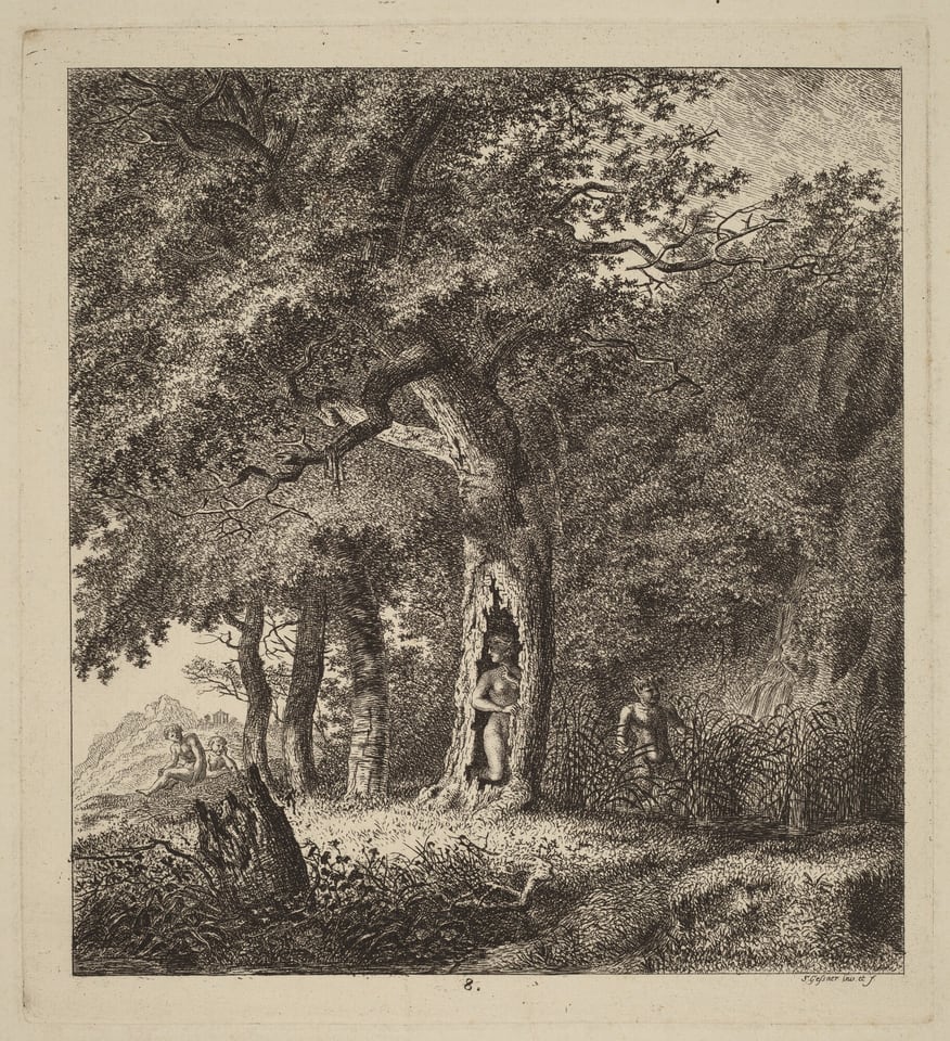 The image shows an etching of a forest scene with towering trees dominating the upper half. The horizon is not clearly visible due to dense foliage, but a line of trees and rocky outcrops in the distance provide a boundary. The fine lines and cross-hatching technique create detailed textures in the tree bark and foliage. The color palette is monochromatic, in shades of black and white emphasizing light and shadow. A large tree with a partially hollow trunk and figures scattered throughout the scene give a sense of scale and activity within the forest setting.
