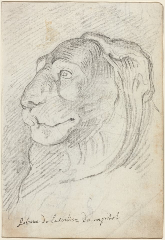 This is a detailed sketch of a lion's head, positioned to show its profile. The drawing features the lion's broad nose, rounded mouth, large eye, and flowing mane. The facial features are depicted with various curves and lines. The sketch is on textured paper with pencil shading creating variations in the background. Handwritten text at the bottom reads "Leone de l'Escalier du capitol."