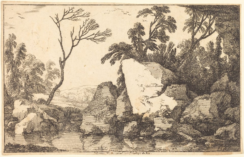 The image is a landscape view with a natural scene depicted in fine etching. The horizon is situated towards the middle of the composition, where the land gently rises, and a subtle outline of distant hills is visible. Large rocks and foliage are depicted close to us, with a lone, barren tree extending upwards on the left side. The etching features intricate and well-defined brushstrokes, including thin lines and cross-hatching to create texture and depth. The color palette is monochromatic, with dark tones against a lighter background. In the distance, additional clusters of trees can be seen, rendered with similar linework to convey movement and detail.
