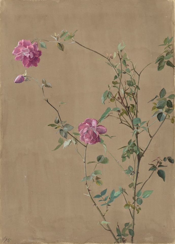 This detailed painting shows two pink roses and a pink bud on a long, thin green stem with green leaves and small green thorns. The tall stem rises near the right edge of the painting, with some thin branches reaching out to either side. The largest rose is positioned near the top left corner of the painting, with the small bud right below it. The other large flower is right around the center of the painting. The background is a flat beige color.
