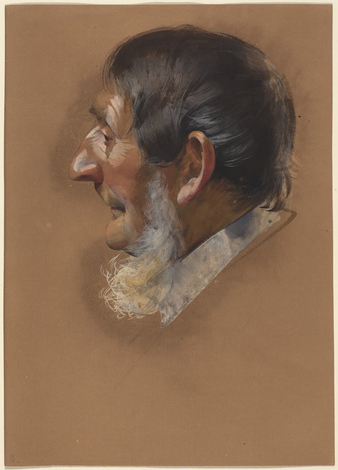 The image shows a man's head and part of his neck in profile view. The man is looking to the left, showcasing his facial features. He has a prominent nose, cheekbones, dark hair with hints of gray at the sides, and a white beard under his chin. He is wearing a gray collar that is partially visible. The background is a plain, muted brown color. There are no objects or jewelry visible in the image.
