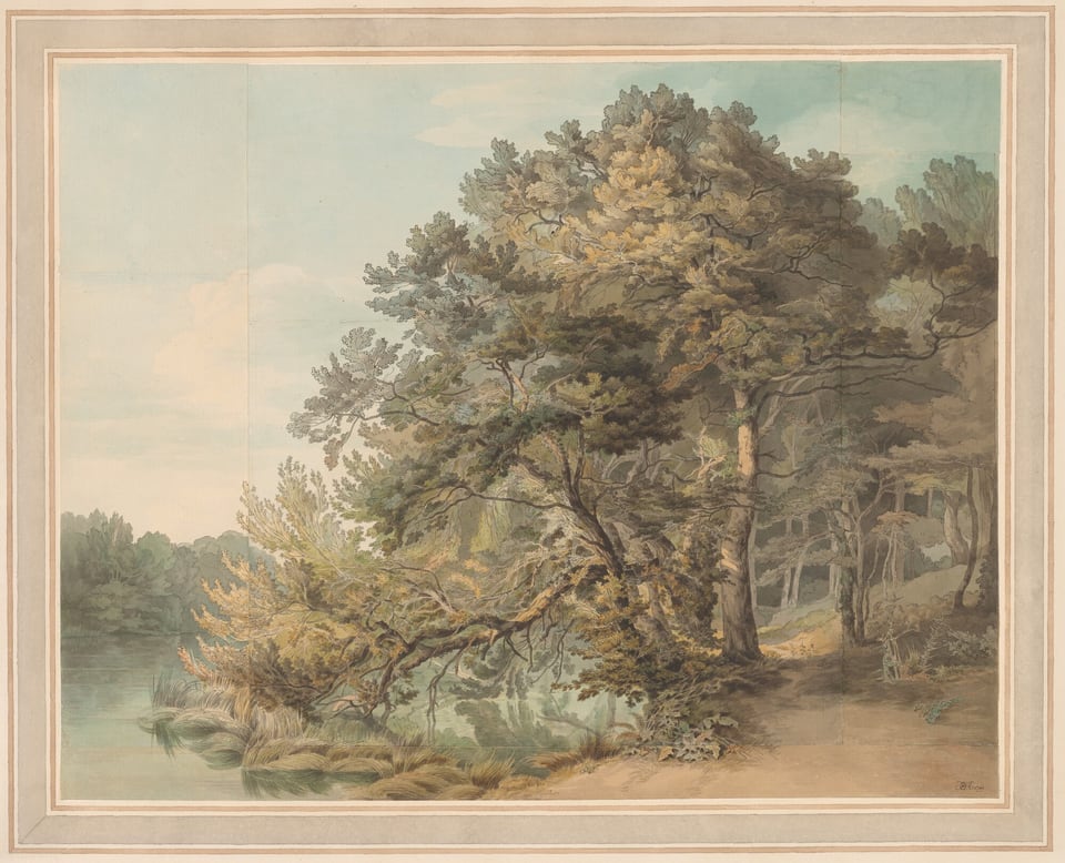 The image shows a forest by a serene, tree-lined body of water. The horizon is high with tall trees extending close to it, creating a sense of depth. The brushstrokes and watercolor application are delicate, capturing textures of leaves and water gently. The color palette includes muted greens, soft browns, and hints of blue and cream. Closest to us is a dense cluster of trees on the right, curving over the water. Across the water, other tree clusters and shrubs recede into the misty background towards the left.