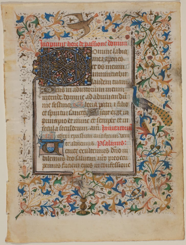 This is a drawing of a decorated manuscript page. The image features an ornate design with illuminated letters and intricate floral borders. The text is in Latin, written in a Gothic script, with larger, stylized letters at the beginning of paragraphs. Floral motifs and vine patterns, painted in vibrant colors including gold, blue, and red, frame the text. Illustrations of a bird and a peacock are integrated into the decorative borders. A small heraldic shield appears just below the middle of the page, adding a heraldic element to the composition. The craftsmanship and artistry associated with illuminated manuscript traditions are showcased, inviting viewers to appreciate the detailed embellishments and the skillful blending of text and imagery.