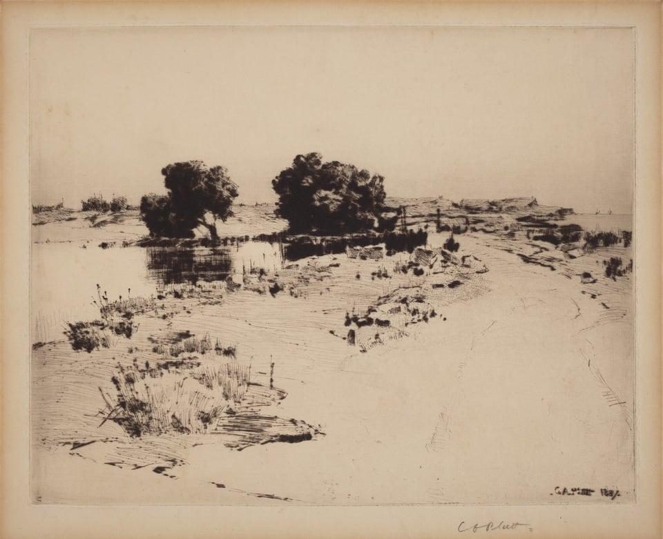 The image depicts a landscape seen from a slightly elevated perspective, with a tranquil scene. The horizon is high in the composition, showing a vast view. There are a few distant trees and silhouettes blending into the sky. The brushstrokes are expressive and fluid, with a sketch-like quality depicting texture and movement in the trees and ground. The color palette is primarily monochrome, using shades of black and grey. Near the viewer, there are low plants and shrubs on sandy ground, leading to a small body of water reflecting dense trees. In the distance, the landscape becomes more open and sparse towards the horizon.
