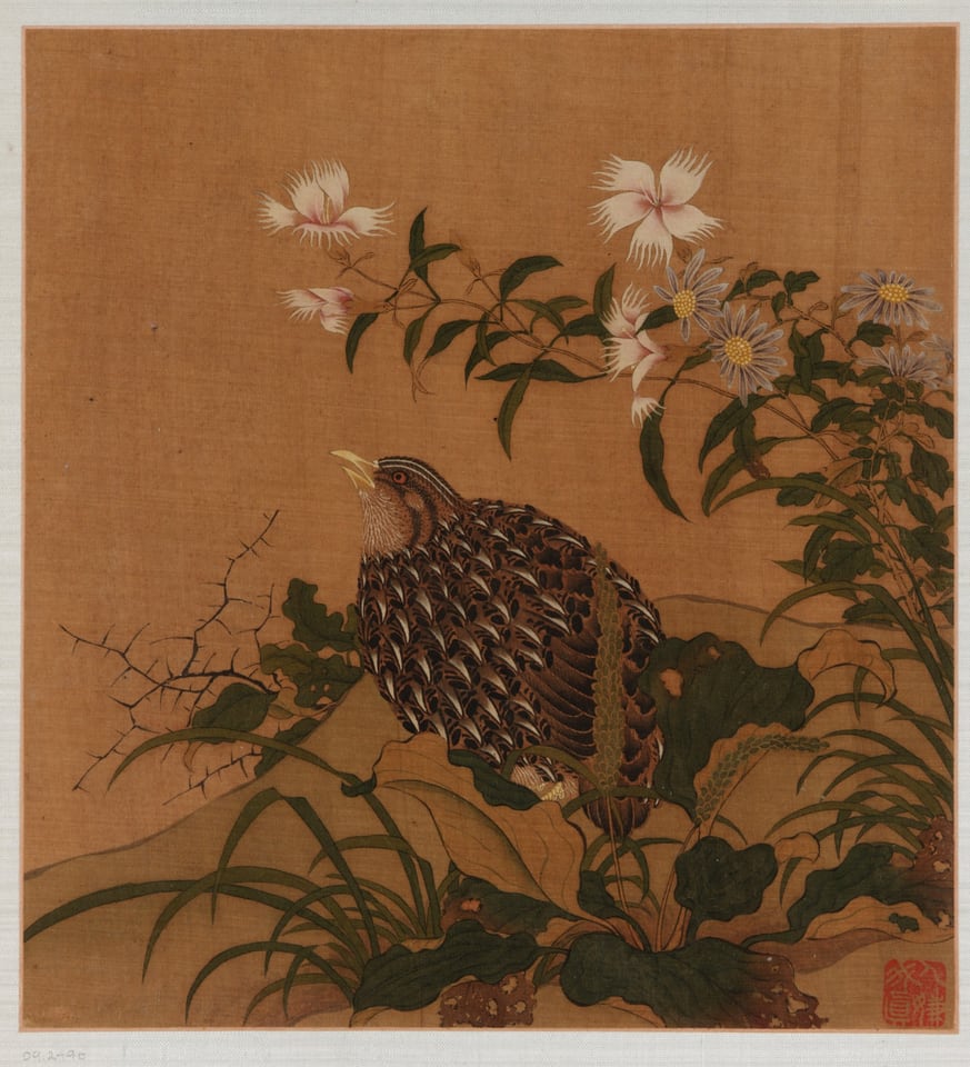 Album leaf