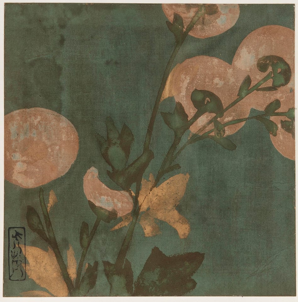 Poetry sheet (shikishi)