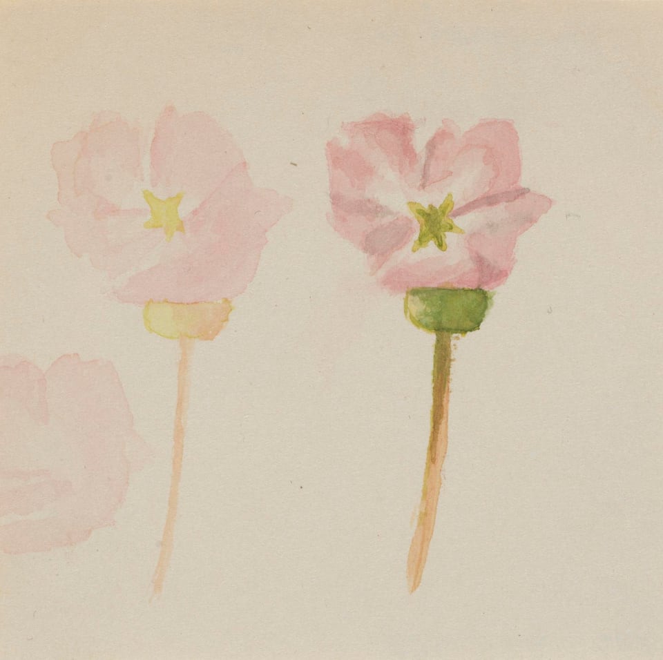 "My First Painting", by Mary Vaux Walcott, ca. 1868