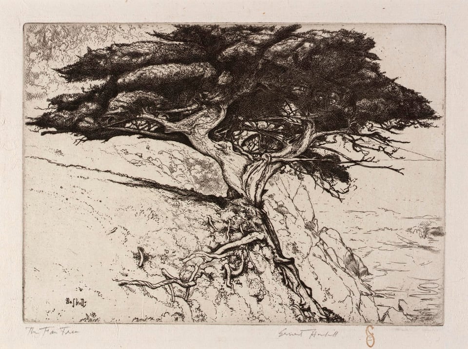 The Fan Tree, by Ernest Haskell, ca. 1915
