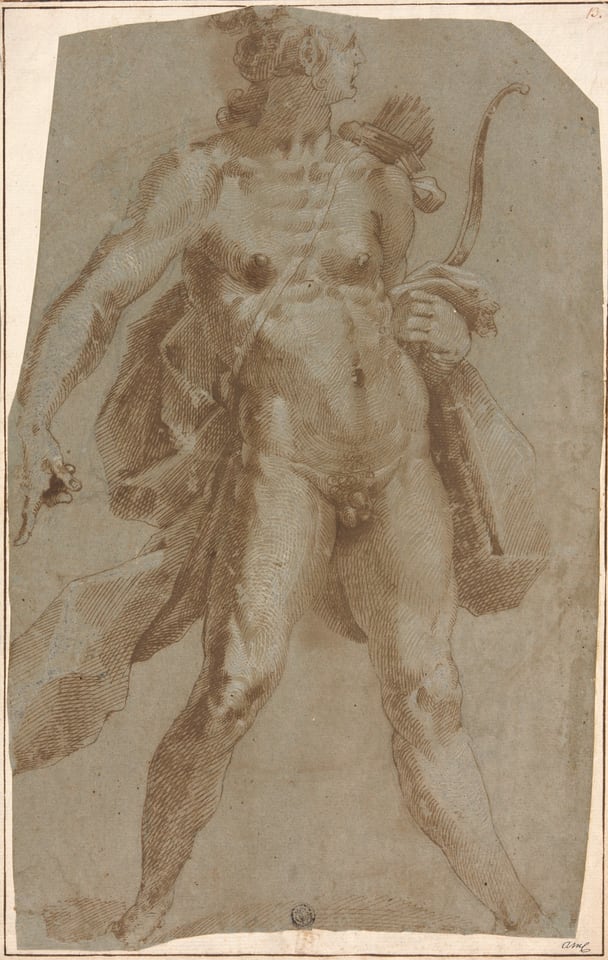 A work made of pen and brown ink, heightened with lead white (partly discolored), over black chalk, on blue laid paper, laid down on ivory laid paper.