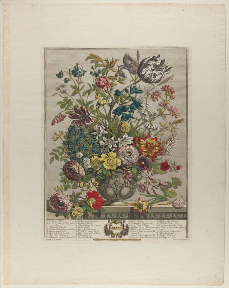 A work made of engraving in black ink with opaque and translucent watercolor on cream laid paper.