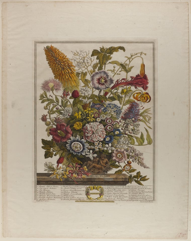 A work made of engraving in black ink with opaque and translucent watercolor on cream laid paper.