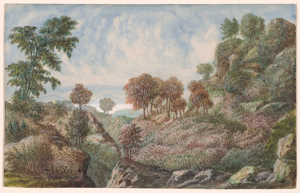 A work made of watercolor and opaque watercolor on cream wove paper.