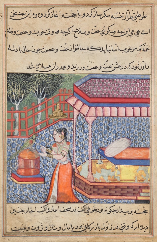 The parrot addresses Khujasta at the beginning of the thirty-sixth night, from a Tuti-nama (Tales of a Parrot), c. 1560