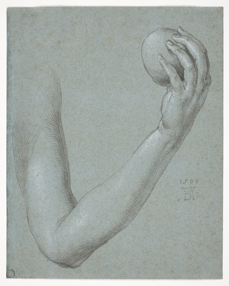 Arm of Eve, by Albrecht Dürer, 1507