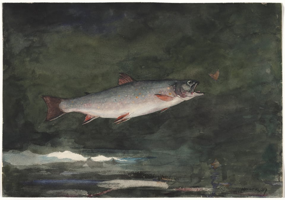 Leaping Trout, by Winslow Homer, 1889
