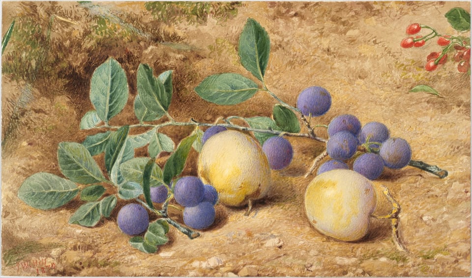 Plums, by John William Hill, 1870