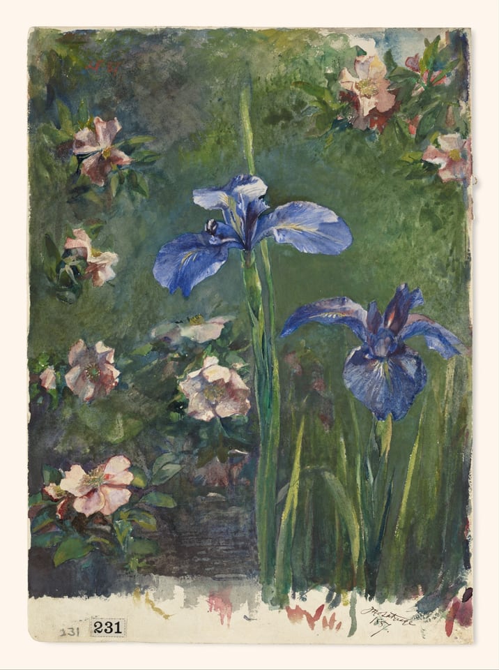 Wild Roses and Irises, by John La Farge, 1887