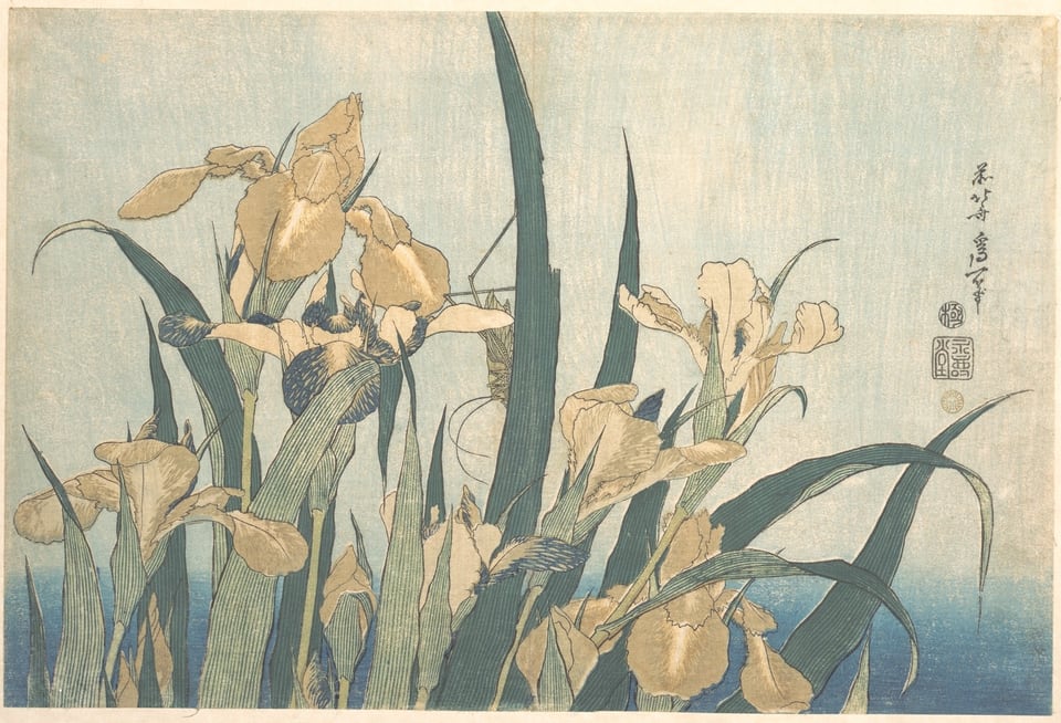 Grasshopper and Iris, by Katsushika Hokusai, late 1820s